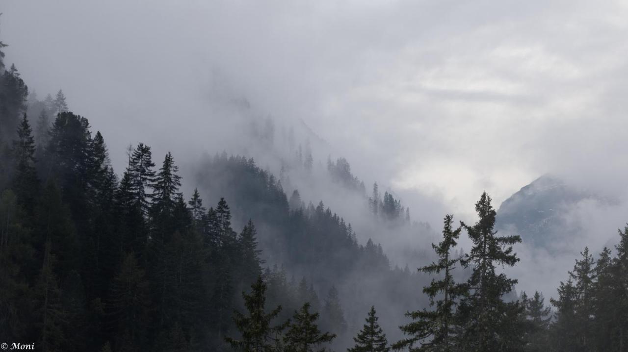 Haus Timmler Daire Sankt Anton am Arlberg Dış mekan fotoğraf