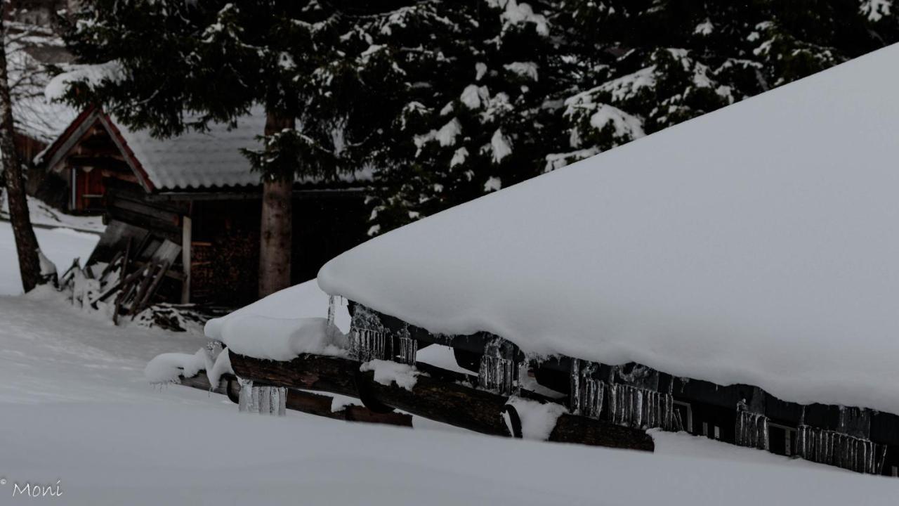 Haus Timmler Daire Sankt Anton am Arlberg Dış mekan fotoğraf