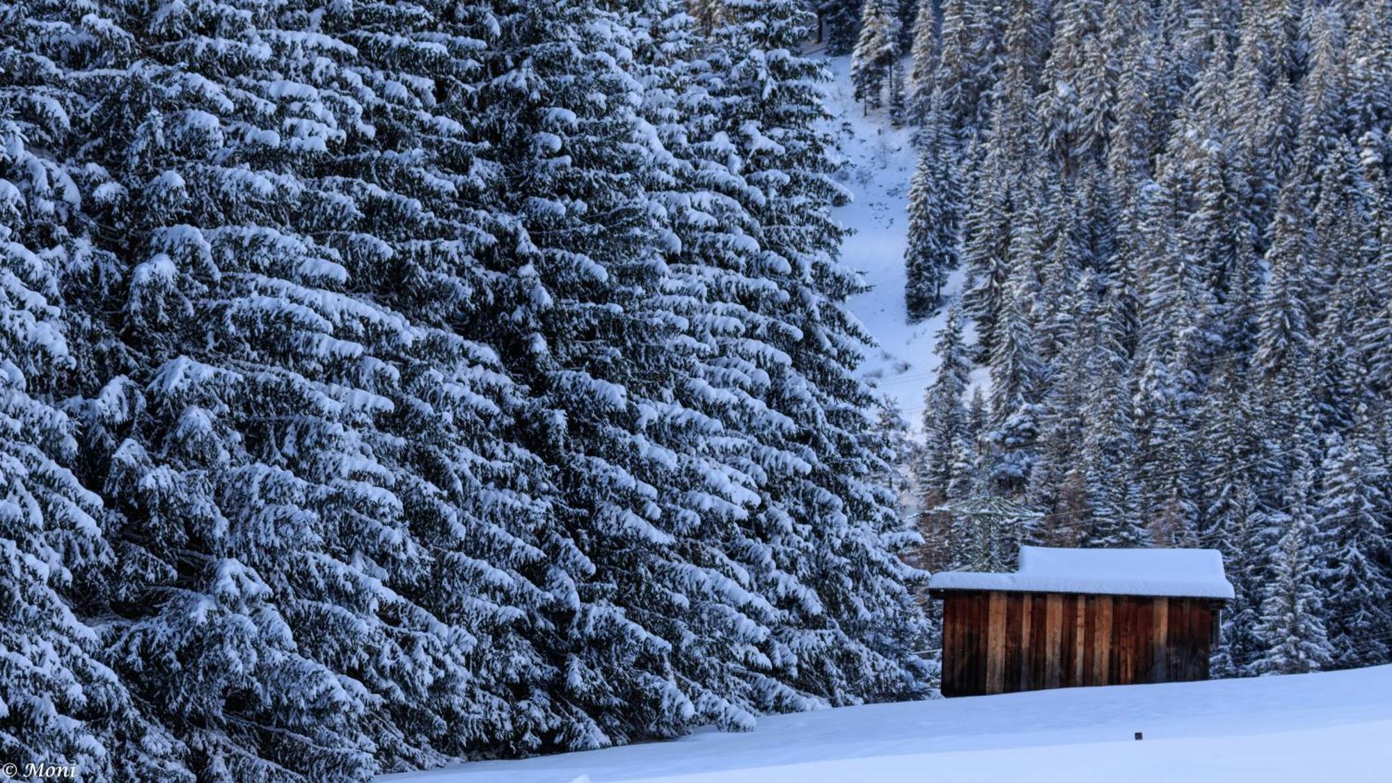 Haus Timmler Daire Sankt Anton am Arlberg Dış mekan fotoğraf