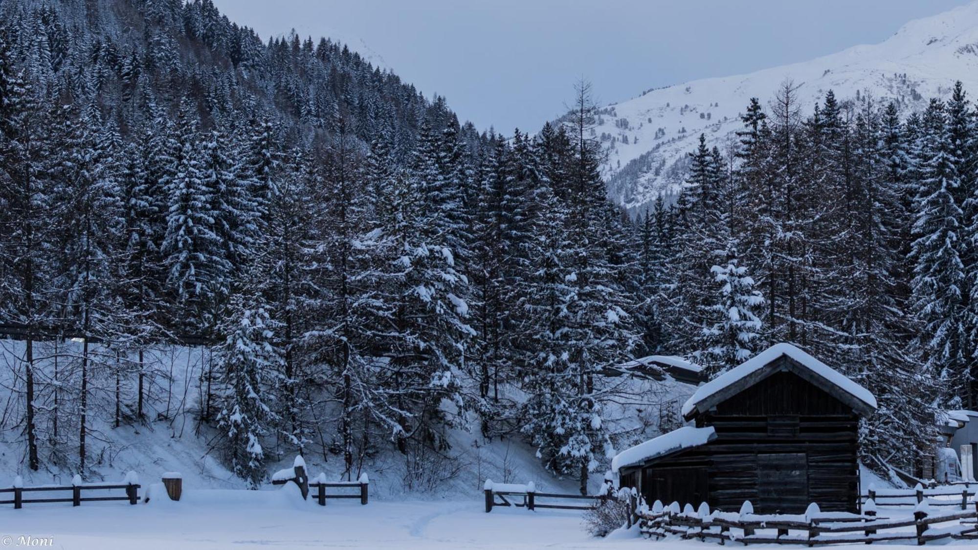 Haus Timmler Daire Sankt Anton am Arlberg Dış mekan fotoğraf